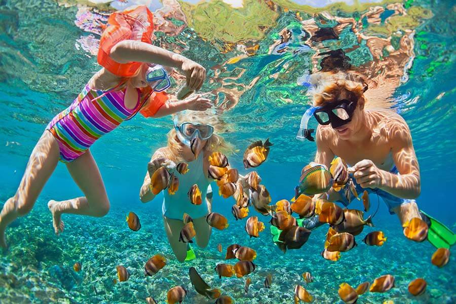 a family's amazing vacation takes them snorkeling on a coral reef