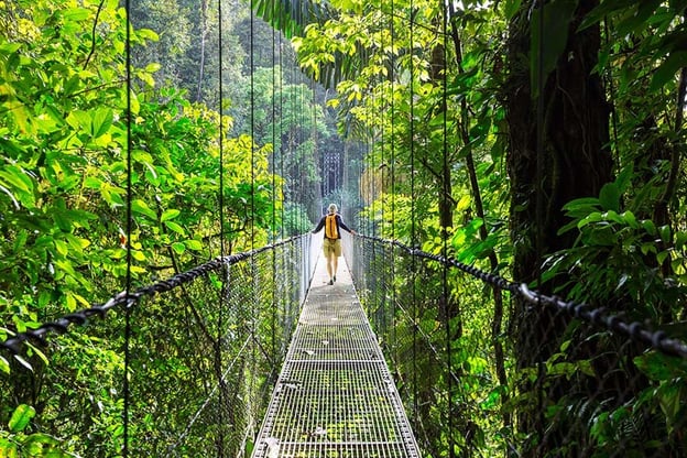 hiking through a rainforest on a Costa Rican vacation