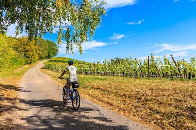 Biking through France is a wonderful way to take in the scenic beauty of the country.